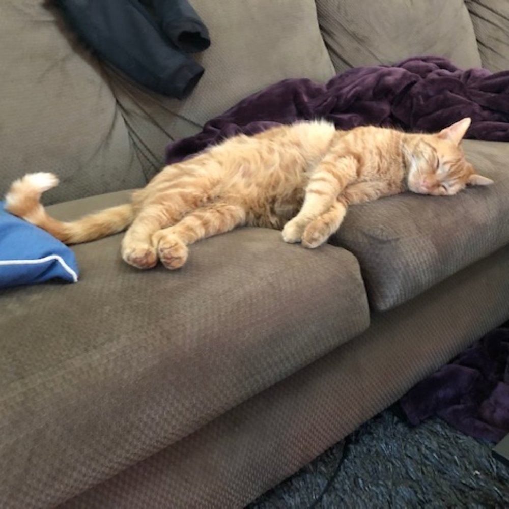 Meet your Posher, IP